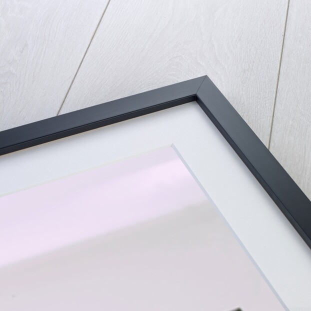 1986 Benetton BMW B186 by Unknown