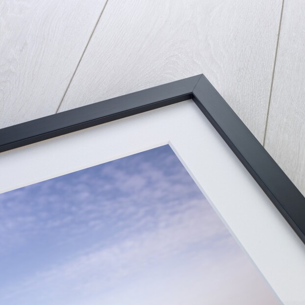 1999 Porsche 911 Carrera 4 by Unknown