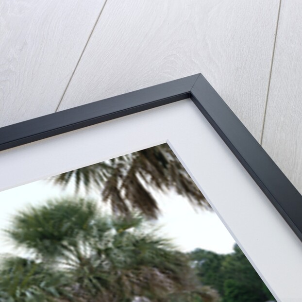 1957 Cadillac Eldorado Biarritz by Unknown