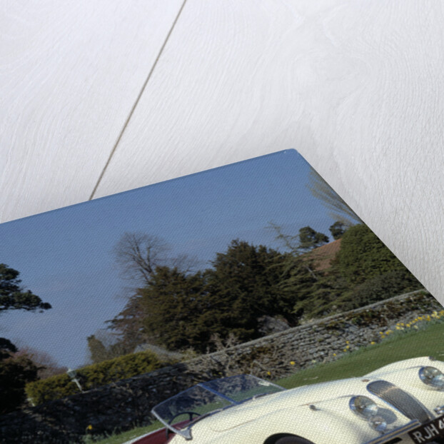 1954 Jaguar by Unknown