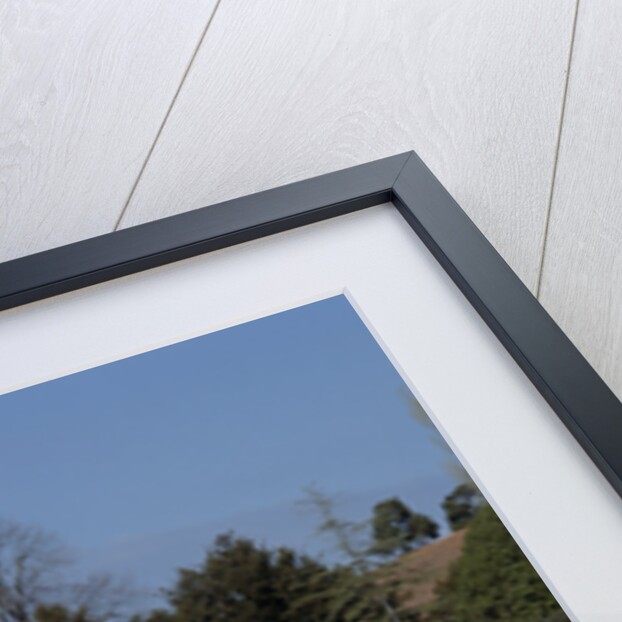 1954 Jaguar by Unknown