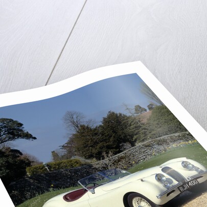 1954 Jaguar by Unknown