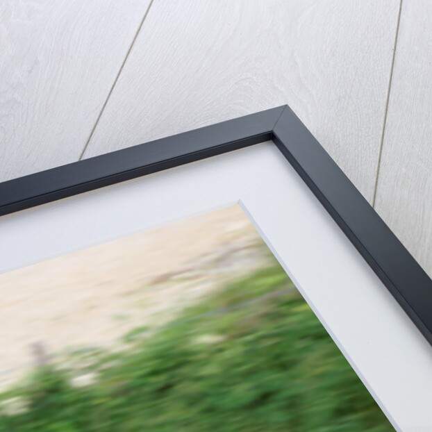 1999 Mazda MX5 by Unknown