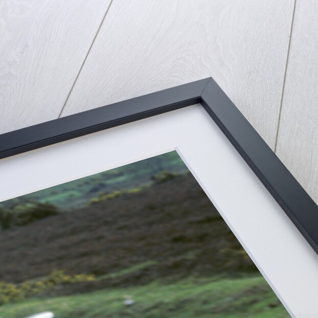 1984 Jaguar Sovreign 4.2 by Unknown