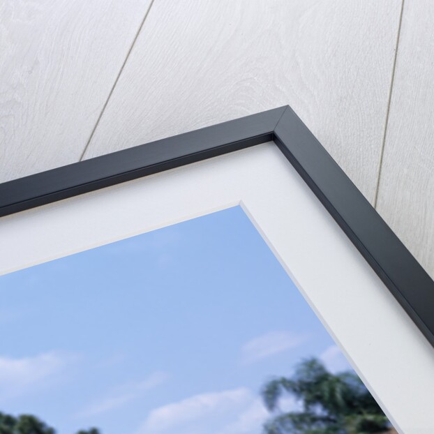 1956 Ford Thunderbird by Unknown