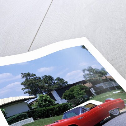 1956 Ford Thunderbird by Unknown