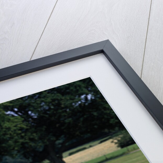 1957 Bentley Continental S1 by Unknown