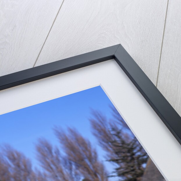 1959 Austin Seven Mini by Unknown