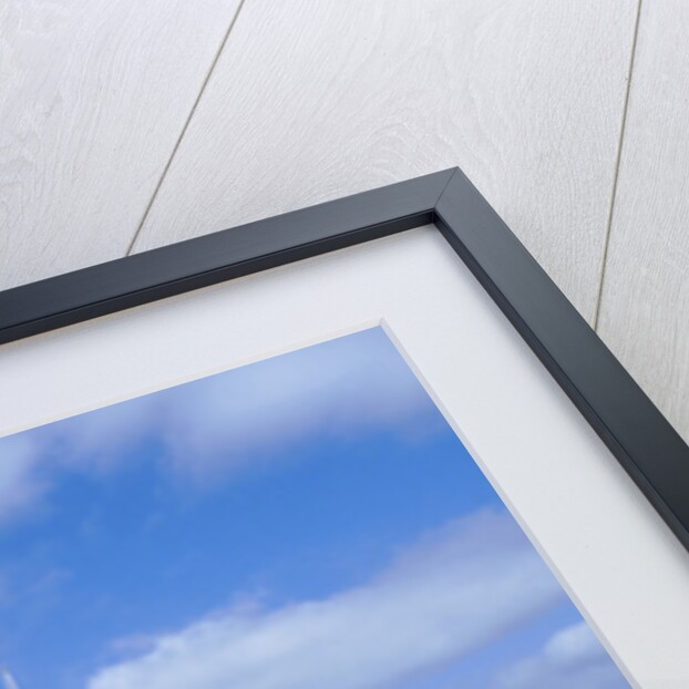 American Camper by Unknown