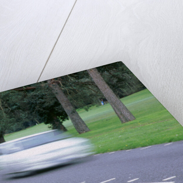 Speed Camera and road markings by Unknown