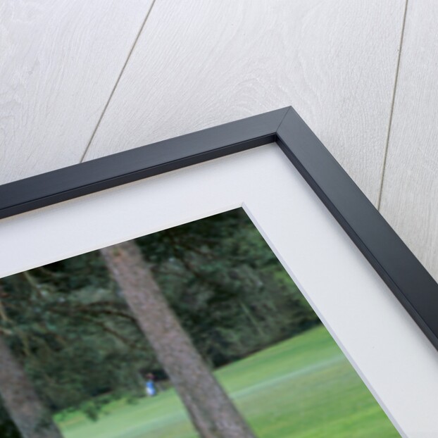 Speed Camera and road markings by Unknown