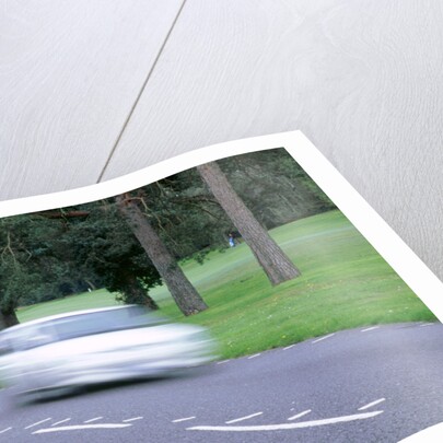 Speed Camera and road markings by Unknown