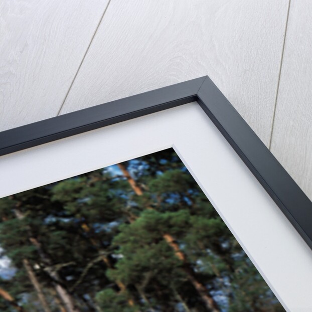 2001 Peugeot 607 by Unknown