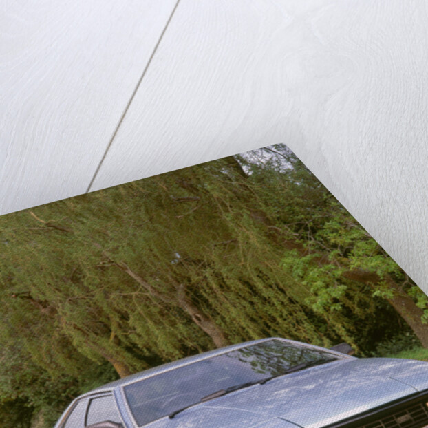 1986 Bitter SC 3.9 by Unknown