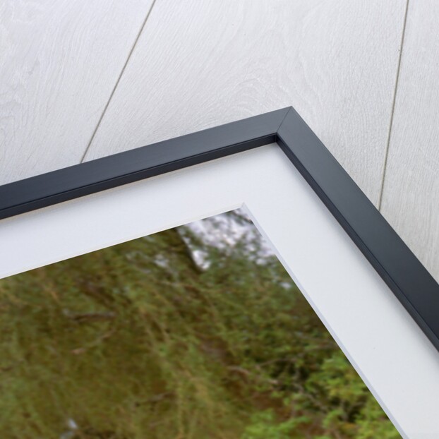 1986 Bitter SC 3.9 by Unknown