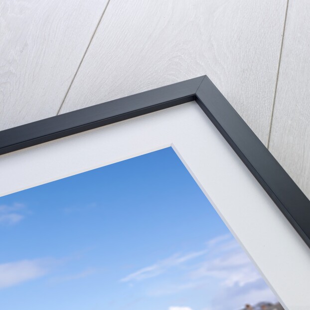 2002 Ford Focus by Unknown