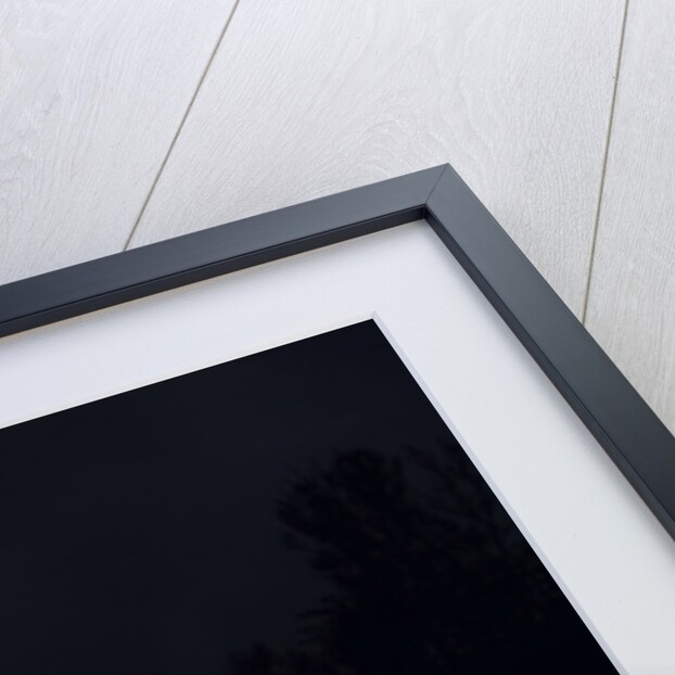 2003 Mini Cooper S by Unknown