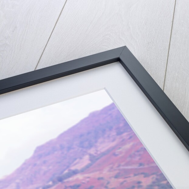 1998 Isuzu Trooper Duty by Unknown