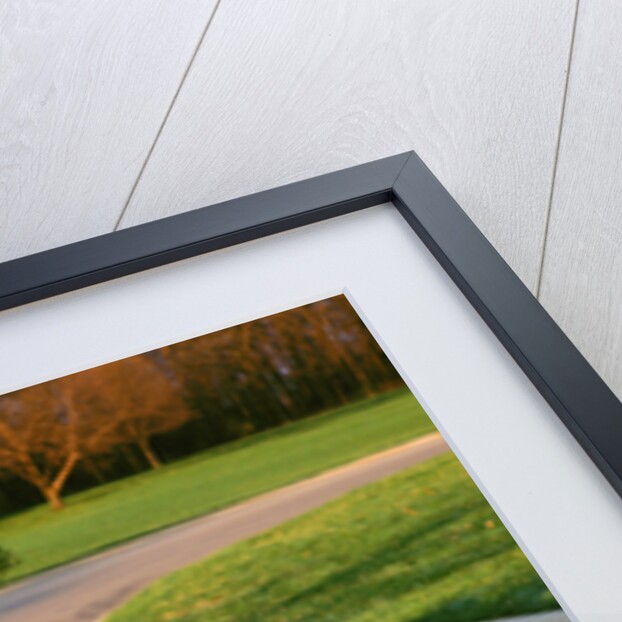 1987 Ford Mustang 5.0 litre GT by Unknown