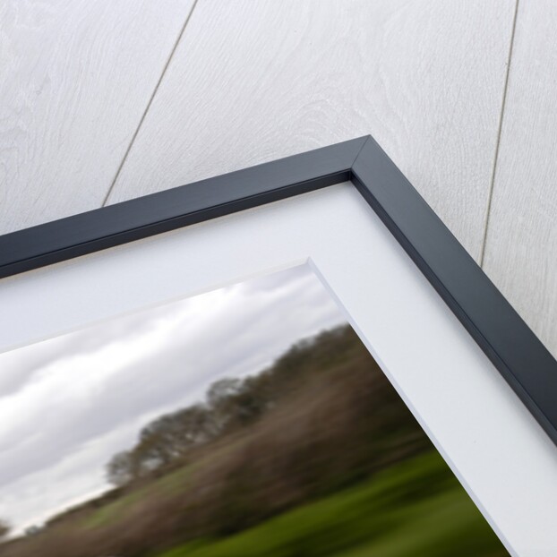 2003 Lexus IS200 Sportcross by Unknown