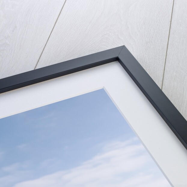 2003 Nissan Primera 2.2TD Estate by Unknown