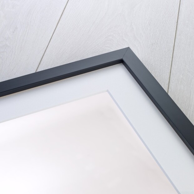 2003 Mercedes Benz C200k Coupe by Unknown