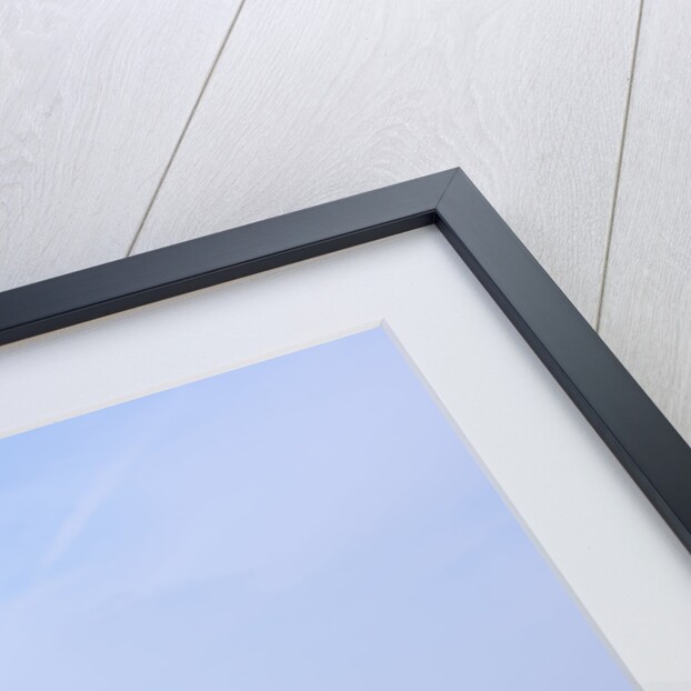 2004 Lexus LS430 by Unknown