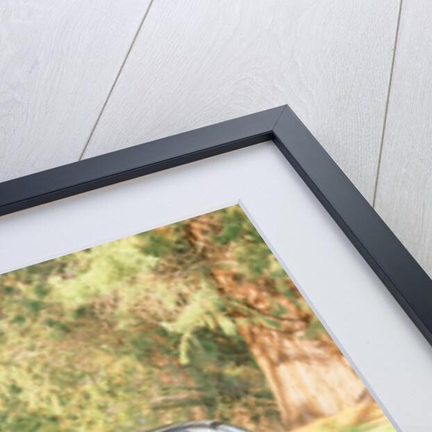 1970 Jensen Interceptor FF MK2 by Unknown