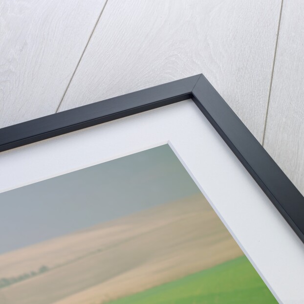 1965 Triumph TR4 by Unknown