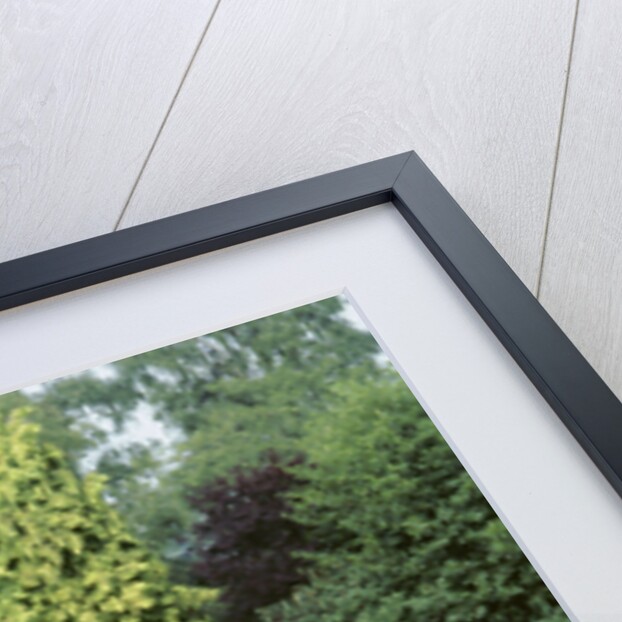 1964 Triumph TR4 by Unknown