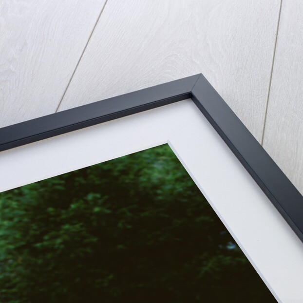 1967 Triumph TR5 by Unknown