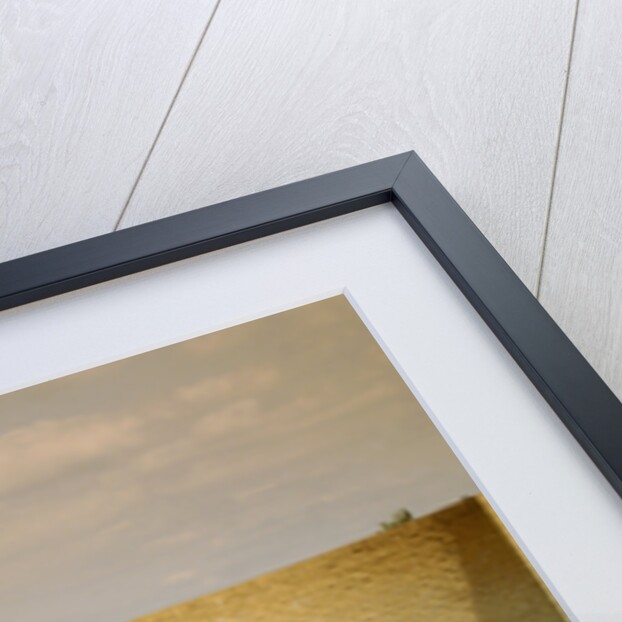 1955 Triumph TR2 by Unknown