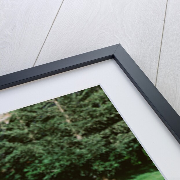 1947 Delahaye 135m Vanden Plas by Unknown