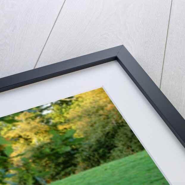 1962 Hillman Minx by Unknown