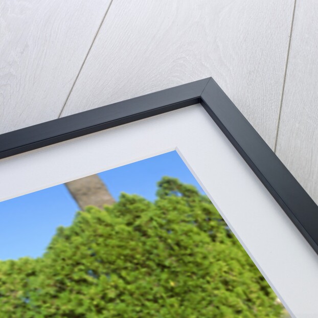 1979 AMC Pacer by Unknown