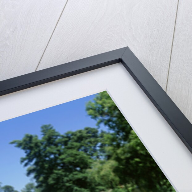 1980 Lotus Esprit S2 by Unknown