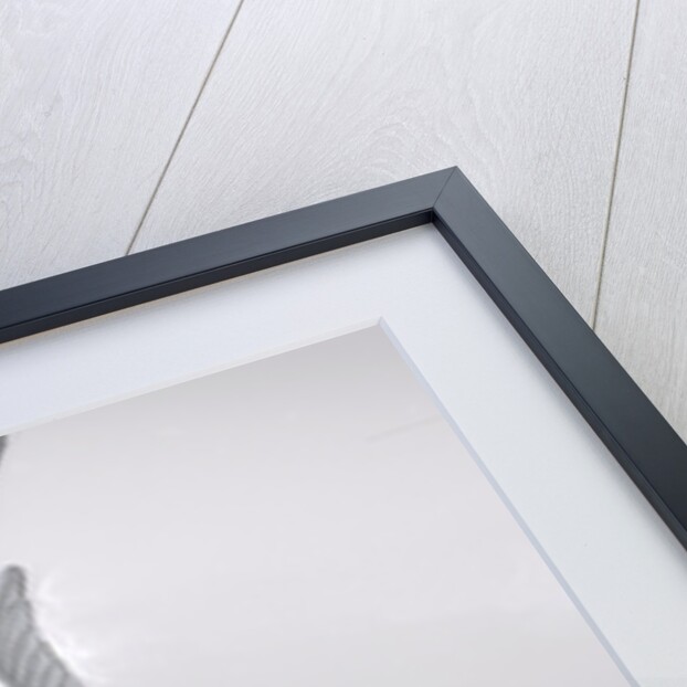 1963 Rover P4110 by Unknown