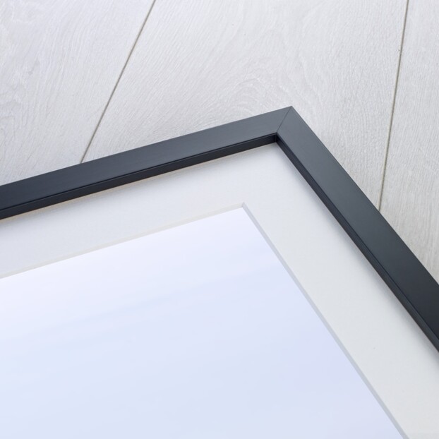 2004 Nissan 350Z by Unknown