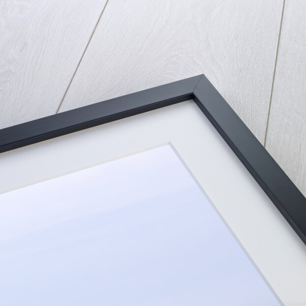 2004 Nissan 350Z by Unknown