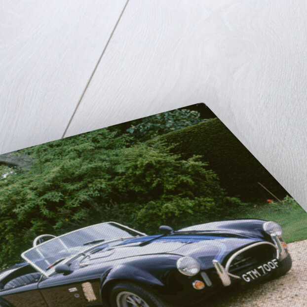 1965 AC Shelby Cobra 7 litre by Unknown