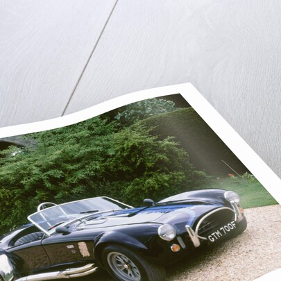 1965 AC Shelby Cobra 7 litre by Unknown