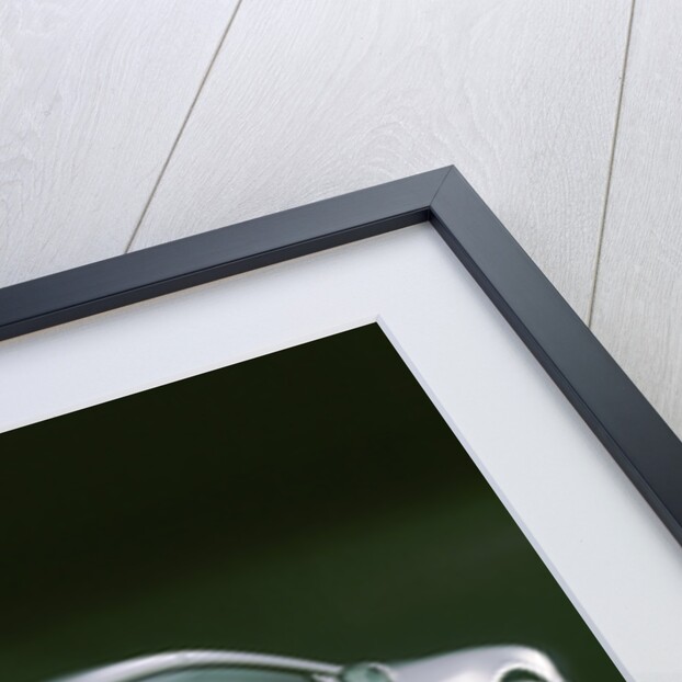 2001 Mercedes Benz CL 55 AMG V8 by Unknown