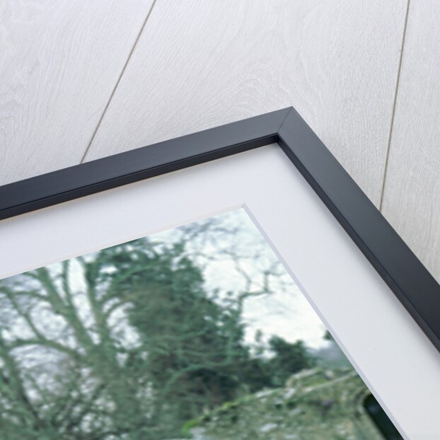 2003 Mercedes Benz E320 cdi Avantgarde by Unknown