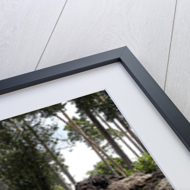 2003 Toyota Landcruiser by Unknown