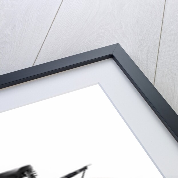 1900 James Pedal Cycle by Unknown