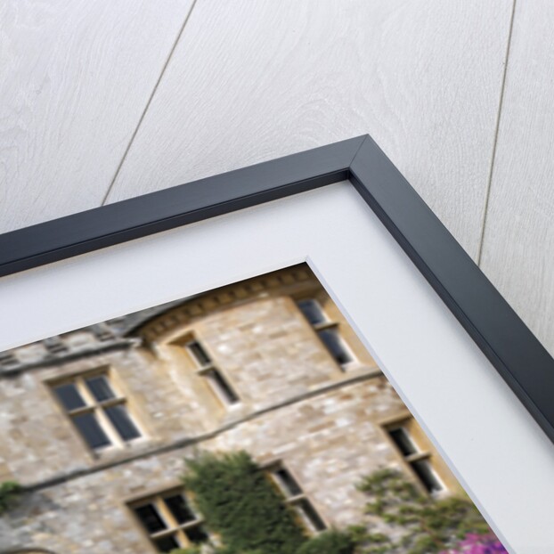 2004 Mini Cooper Convertible by Unknown