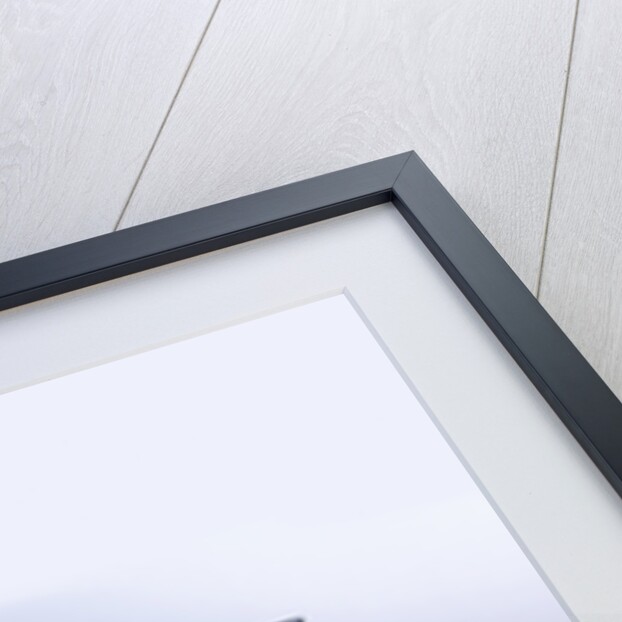 2004 Ford Focus by Unknown