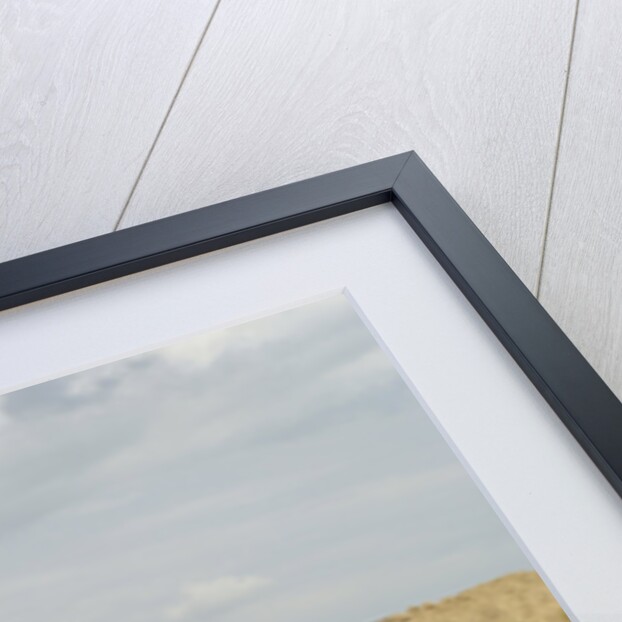 VW Beetle Burning out by Unknown