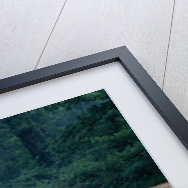 1981 Ford Escort RS1800 by Unknown