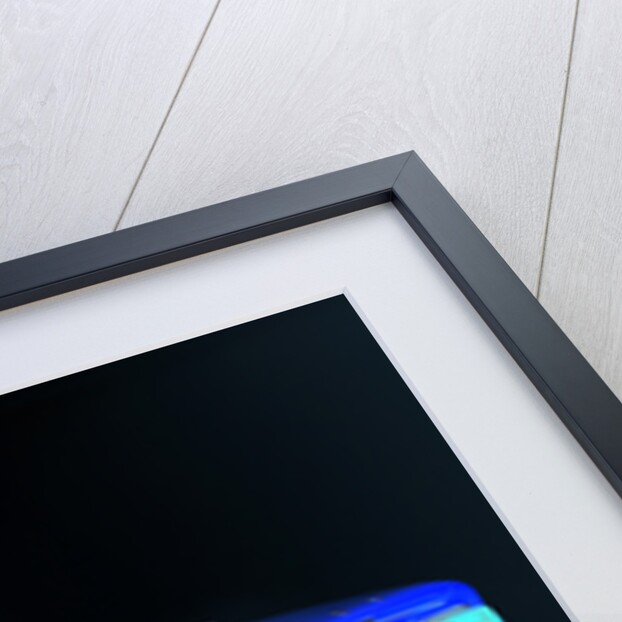 1971 Lotus Elan S4 SE by Unknown